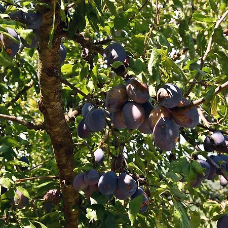 Keep Calm Edition Villa Konjic