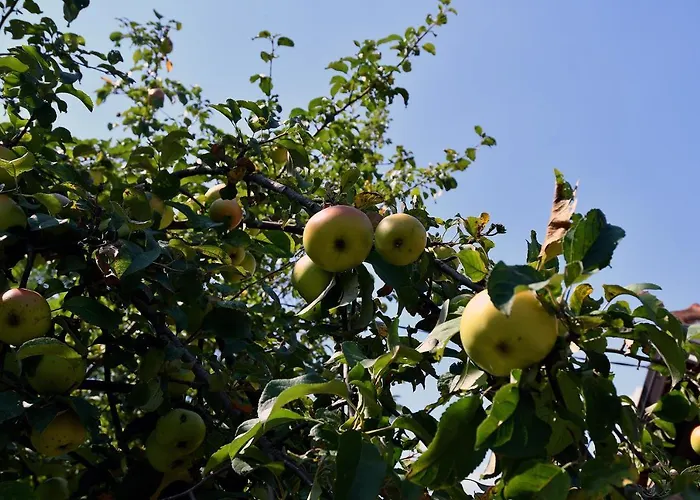Keep Calm Edition * Konjic